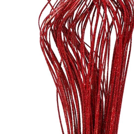 TF Publishing Natural Curly Ting Branch Stems